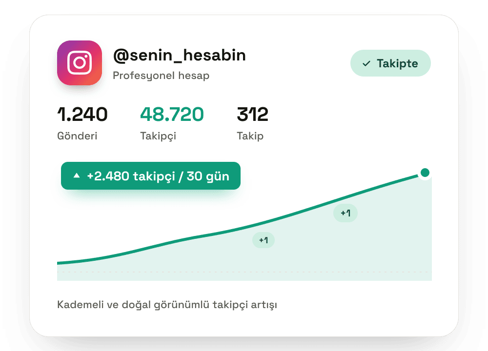 Instagram beğeni artışını gösteren büyüme grafiği — Takipevi