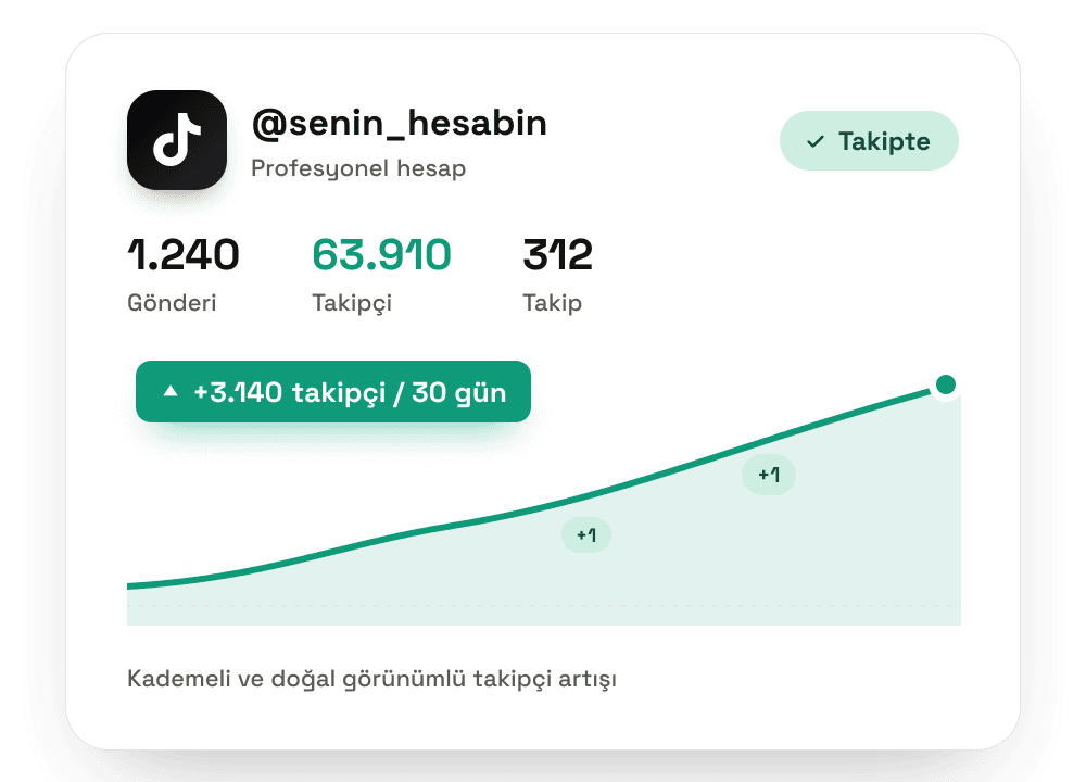 TikTok beğeni artışını gösteren büyüme grafiği — Takipevi